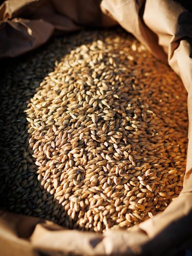 brasserie-la-cig-var-la-brasserie8